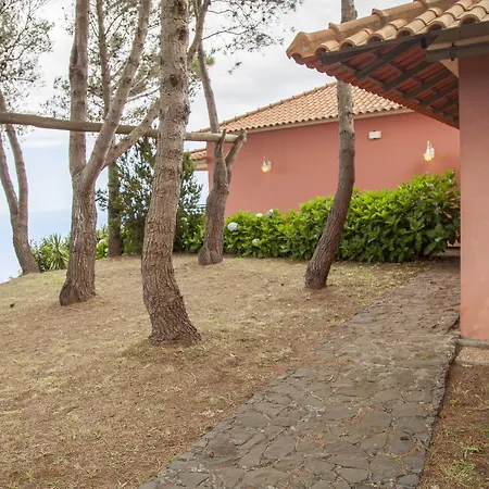 Quinta Do Santo By Mhm Vila *